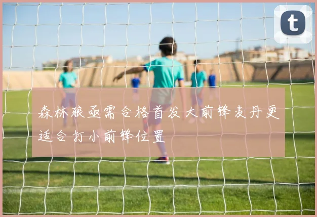 森林狼亟需合格首发大前锋麦丹更适合打小前锋位置